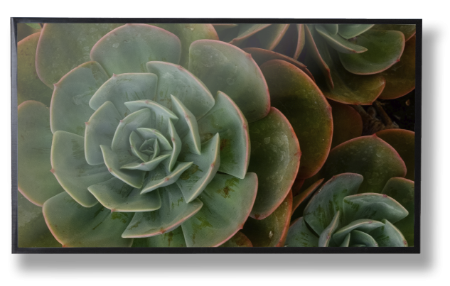 Crestron NVX 4K Video
